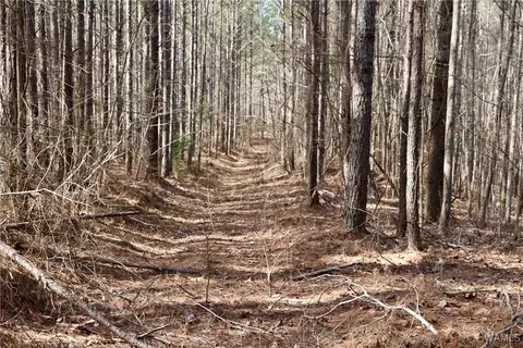 16717 Graham Rd, Berry, AL 35546