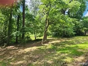 3833 Springhill Dr, Tuscaloosa, AL 35405