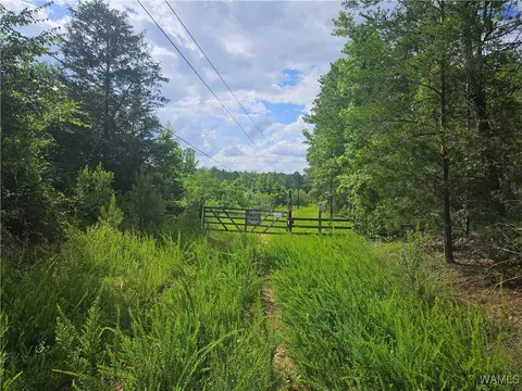 590 Serty Boyd Rd, West Blocton, AL 35184
