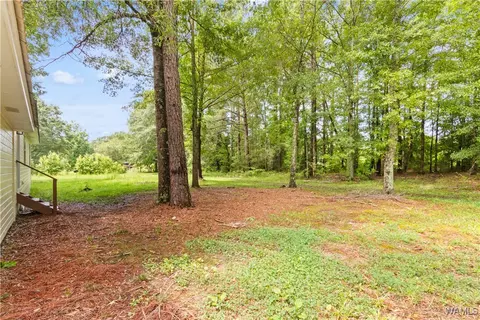 Exterior - 13988 Northside Rd, Berry, AL 35546 photo 7 of 7
