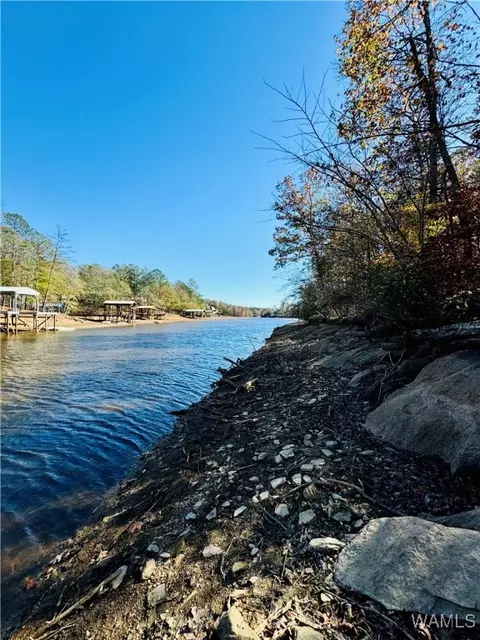 0 County Road 2565, Other, AL 36278