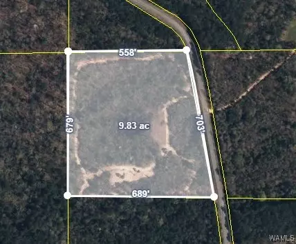 470 Birmingham Rd, Beaverton, AL 35544