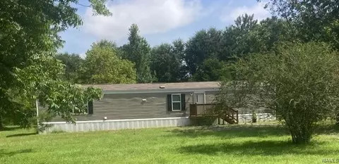 2450 Milwood Rd, Greensboro, AL 36744