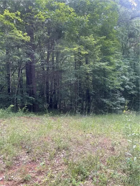 0 Hargrove Rd E, Tuscaloosa, AL 35453