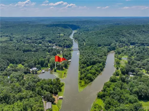 View/Area - 354 Gross Rd, Parrish, AL 35580 photo 9 of 12