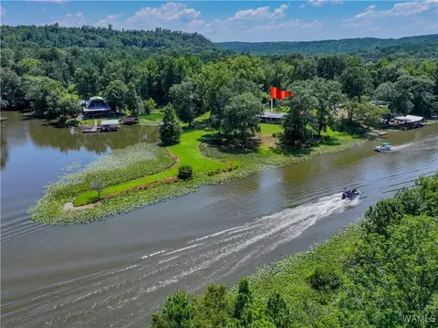 View/Area - 354 Gross Rd, Parrish, AL 35580 photo 5 of 12