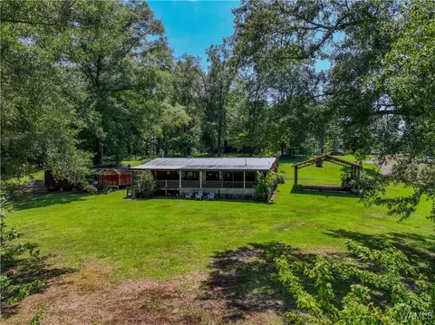 Exterior - 354 Gross Rd, Parrish, AL 35580 photo 3 of 12