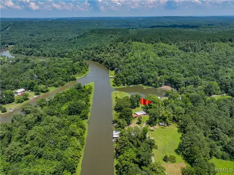 View/Area - 354 Gross Rd, Parrish, AL 35580 photo 7 of 12