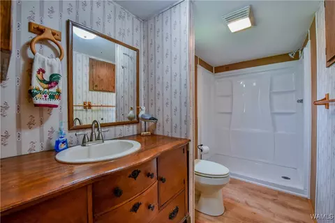 Bath - 354 Gross Rd, Parrish, AL 35580 photo 1 of 3