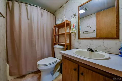 Bath - 354 Gross Rd, Parrish, AL 35580 photo 3 of 3