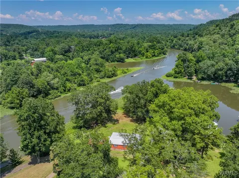 View/Area - 354 Gross Rd, Parrish, AL 35580 photo 4 of 12
