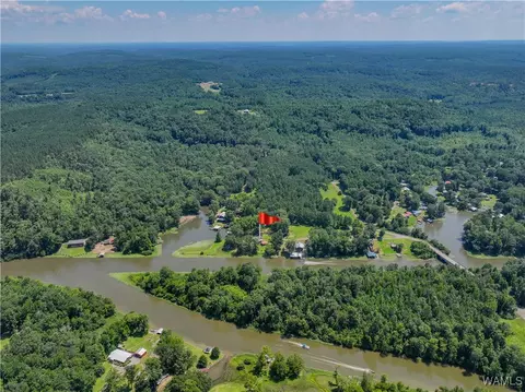 View/Area - 354 Gross Rd, Parrish, AL 35580 photo 8 of 12