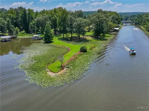 View/Area - 354 Gross Rd, Parrish, AL 35580 photo 11 of 12