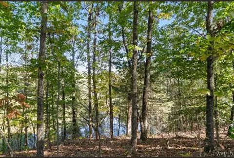 4013 E Lake Dr, Tuscaloosa, AL 35405