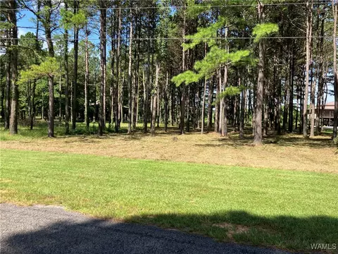 lot21 Cypress Point Dr, Akron, AL 35441
