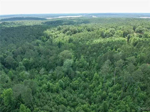 0 Hopewell Rd, Vance, AL 35490