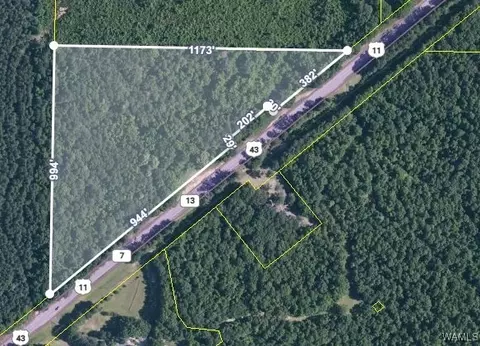 14701 Highway 11 S, Fosters, AL 35463