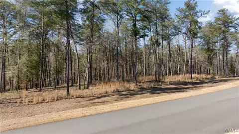 14180 Watercolor Dr, Northport, AL 35475