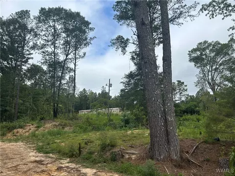 273 Honeysuckle Dr, Fayette, AL 35555