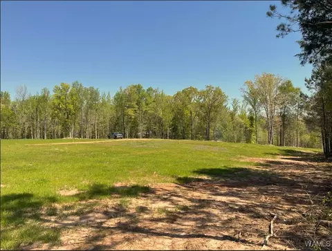 lot1 2 Sugarberry Farms, Berry, AL 35546