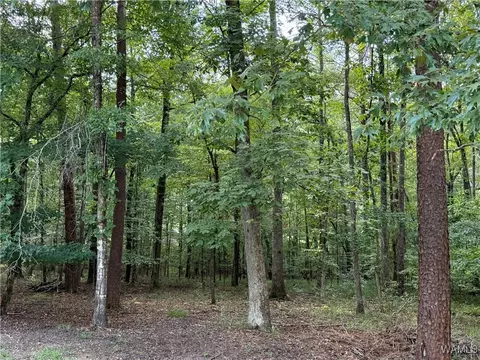 0 Bridewell Cir, Mc Calla, AL 35111