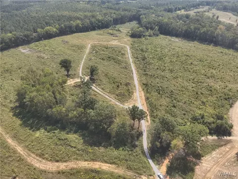 lot12 County Rd 21, Moundville, AL 35474