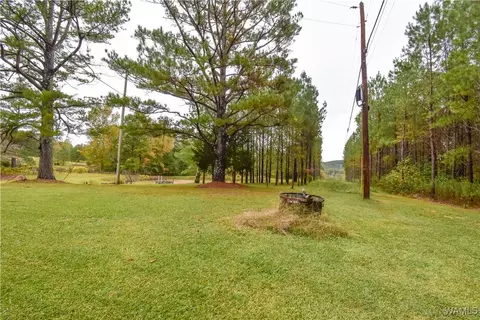 Exterior - 23791 Highway 18 E, Berry, AL 35546 photo 12 of 14