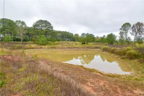 View/Area - 23791 Highway 18 E, Berry, AL 35546 photo 2 of 2