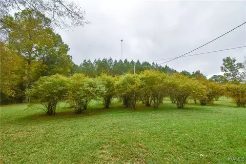 Exterior - 23791 Highway 18 E, Berry, AL 35546 photo 5 of 14