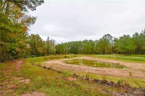 Other - 23791 Highway 18 E, Berry, AL 35546 photo 13 of 14