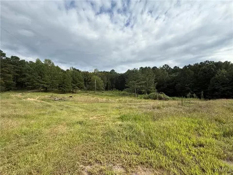 11316 Hobby Horse Rd, Vance, AL 35490