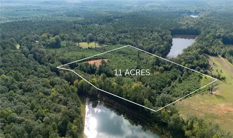 00 County Rd 51, Greensboro, AL 36744
