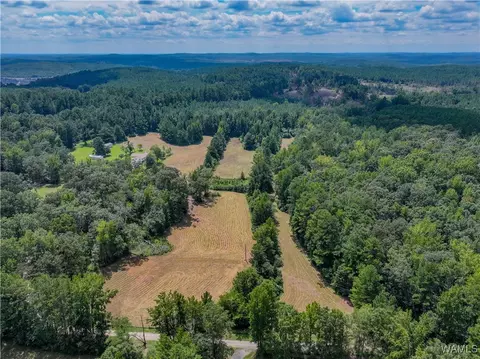 11643 Carter Rd, Vance, AL 35490