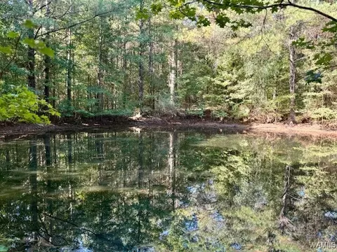 00 Elrod Rd, Elrod, AL 35458