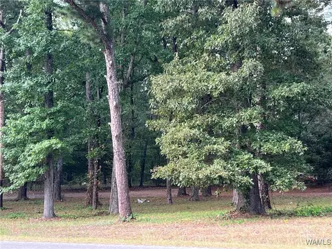 00 Half Circle Dr, Mc Calla, AL 35111 photo 2