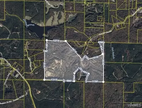 0 Station 32 Rd, Cottondale, AL 35453