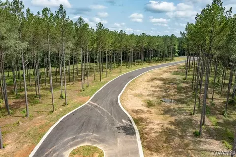 lot14 Stormi Way, Berry, AL 35546