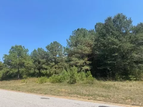 0 30th Ave, Northport, AL 35476