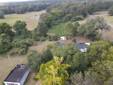 Other - 16699 Romulus Rd, Ralph, AL 35480 photo 11 of 11
