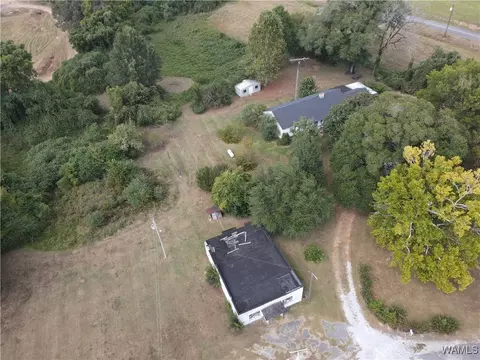 Exterior - 16699 Romulus Rd, Ralph, AL 35480 photo 12 of 12