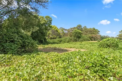 Other - 16699 Romulus Rd, Ralph, AL 35480 photo 1 of 11