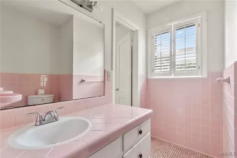 Bath - 16699 Romulus Rd, Ralph, AL 35480 photo 4 of 4