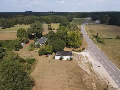 Other - 16699 Romulus Rd, Ralph, AL 35480 photo 9 of 11