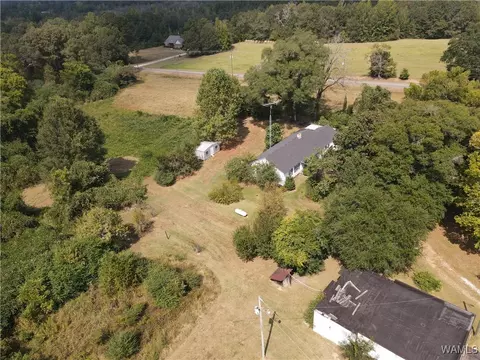 Exterior - 16699 Romulus Rd, Ralph, AL 35480 photo 11 of 12