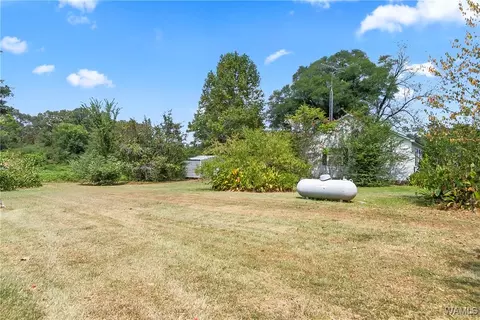 Exterior - 16699 Romulus Rd, Ralph, AL 35480 photo 6 of 12