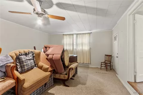 Other - 16699 Romulus Rd, Ralph, AL 35480 photo 4 of 11