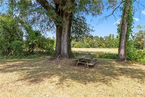 Exterior - 16699 Romulus Rd, Ralph, AL 35480 photo 10 of 12