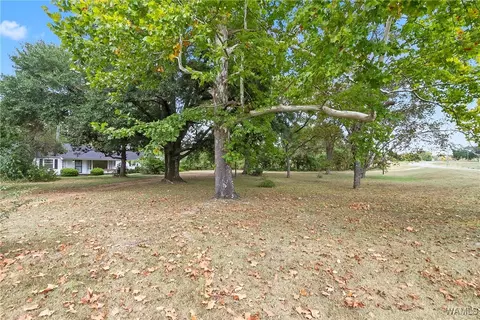 Exterior - 16699 Romulus Rd, Ralph, AL 35480 photo 5 of 12