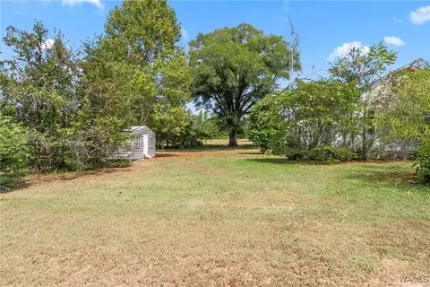 Exterior - 16699 Romulus Rd, Ralph, AL 35480 photo 7 of 12