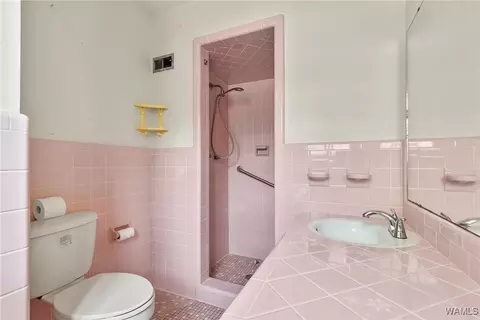 Bath - 16699 Romulus Rd, Ralph, AL 35480 photo 3 of 4
